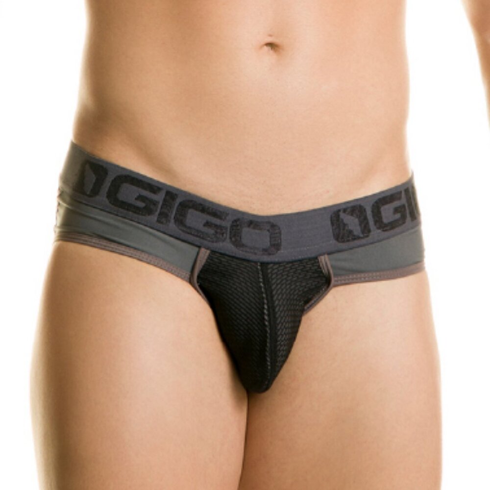 GIGO DESTRUCTIVE GRAY BRIEF JOCK